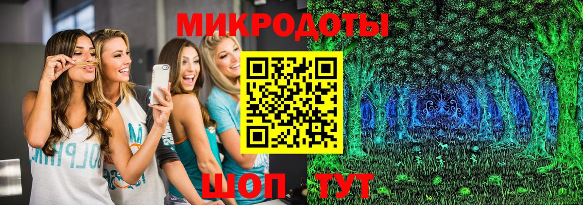 Псилоцибиновые грибы Psilocybine cubensis Донецк