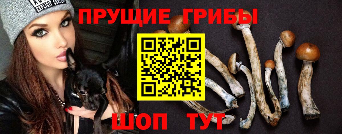 Донецк  Псилоцибиновые грибы MAGIC MUSHROOMS  Псилоцибиновые грибы мицелий  Вход с VPN 